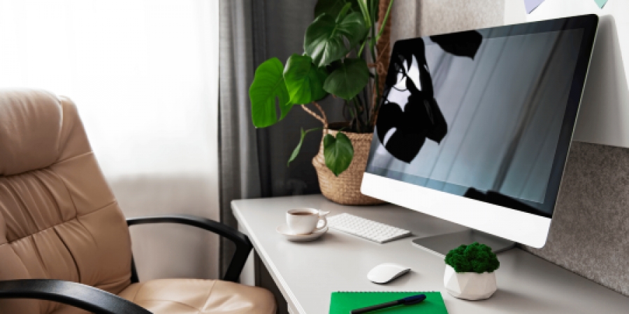 WOMEN WHO WORK FROM HOME PUT PROSPECTS AT RISK – NATIONWIDE CEO